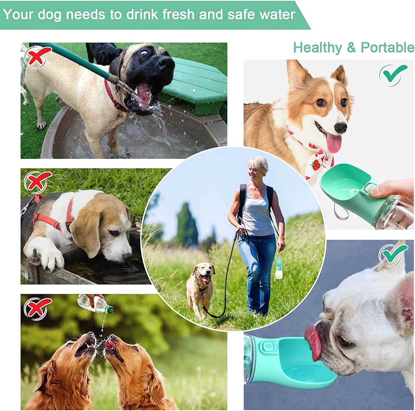 Dog Water Bottle
