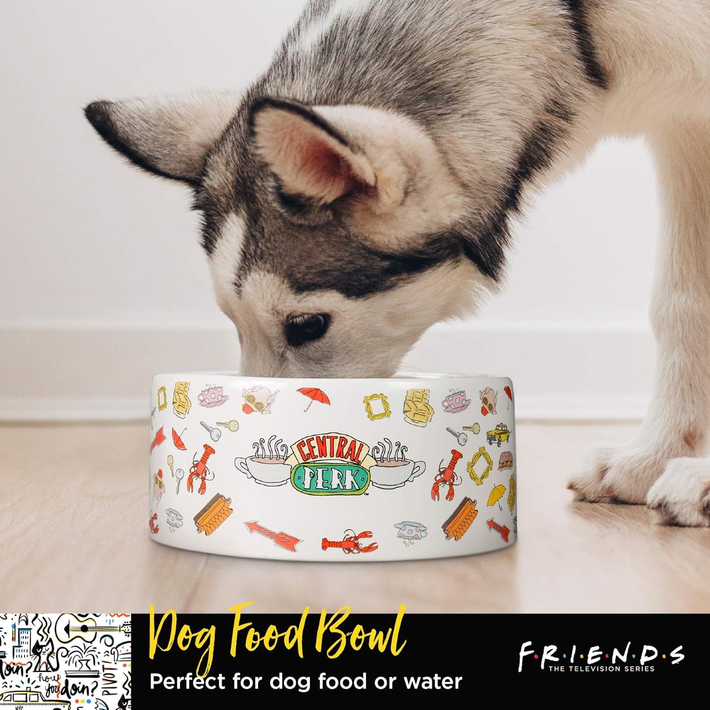 Warner Bros Friends TV Show Joey Doesn'T Share Food Ceramic Dog Food Bowl