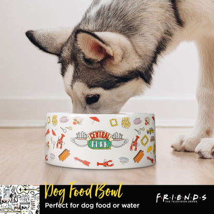 Warner Bros Friends TV Show Joey Doesn'T Share Food Ceramic Dog Food Bowl