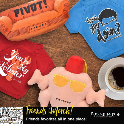 Warner Bros Friends TV Show Joey Doesn'T Share Food Ceramic Dog Food Bowl